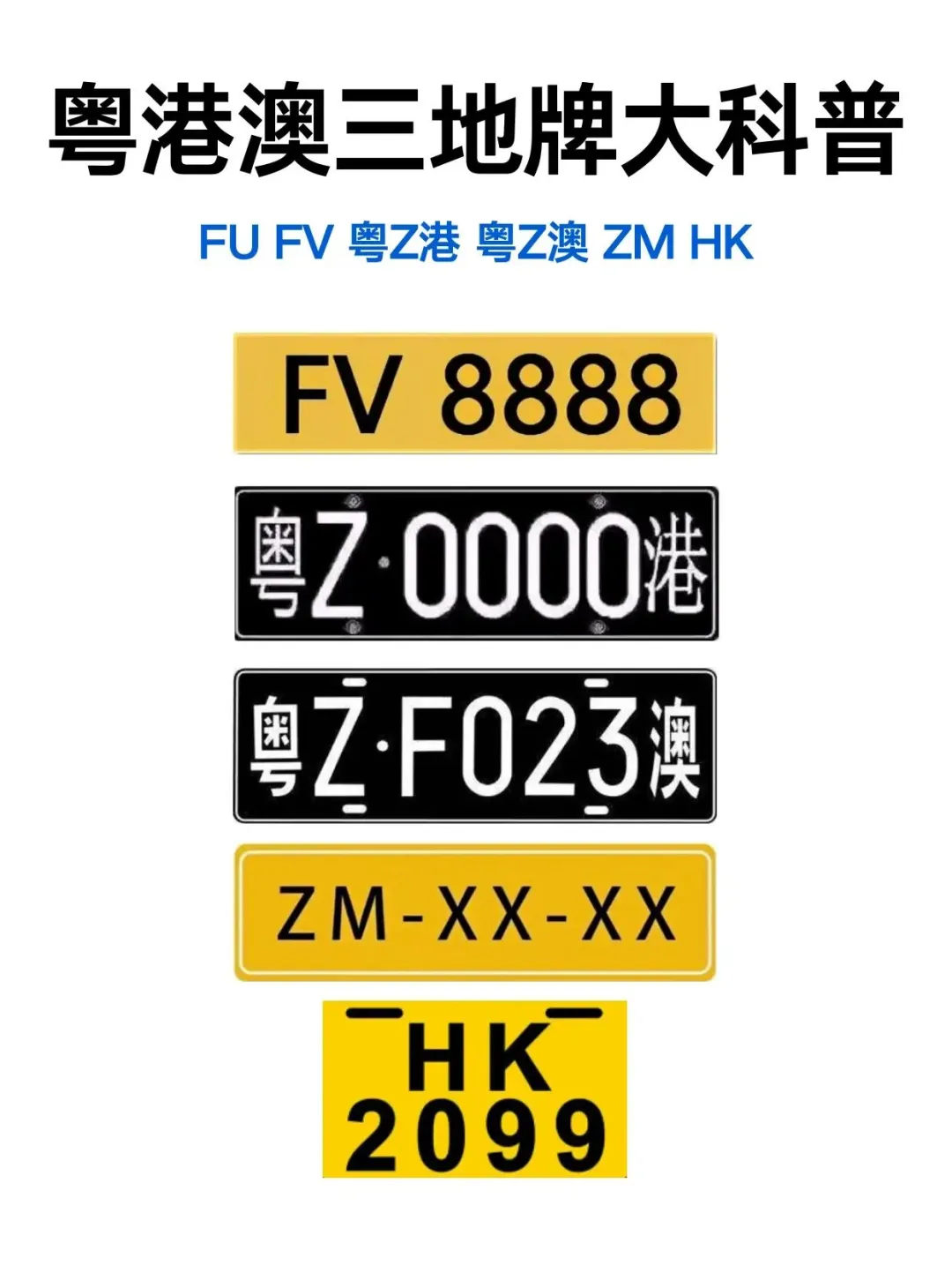 粤港两地车牌（FV和粤Z）是粤港澳大湾区融合的独特标识
